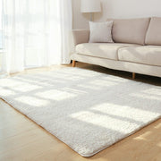 Living Room Fluffy Carpet Rug
