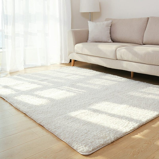Living Room Fluffy Carpet Rug